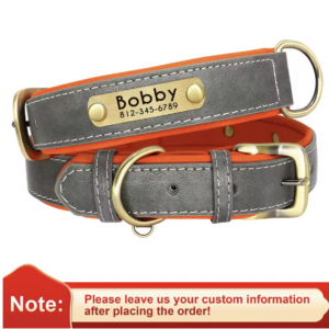 Collier Chien en Cuir Personnalisée