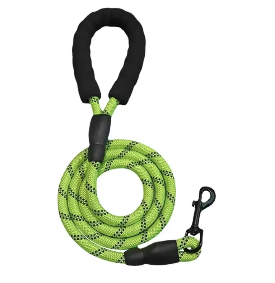 Laisse Chien Tout Terrain – Image 4